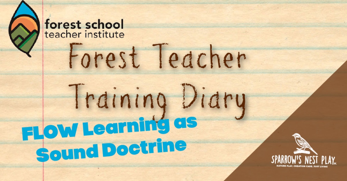 FLOW Learning as Sound Doctrine – Sparrow's Nest Play, INC.