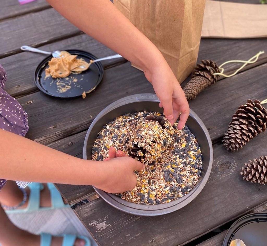 A child's hands making a bird feeder out of a pine cone, peanut butter, and birdseed.A child's hands making a bird feeder out of a pine cone, peanut butter, and birdseed.