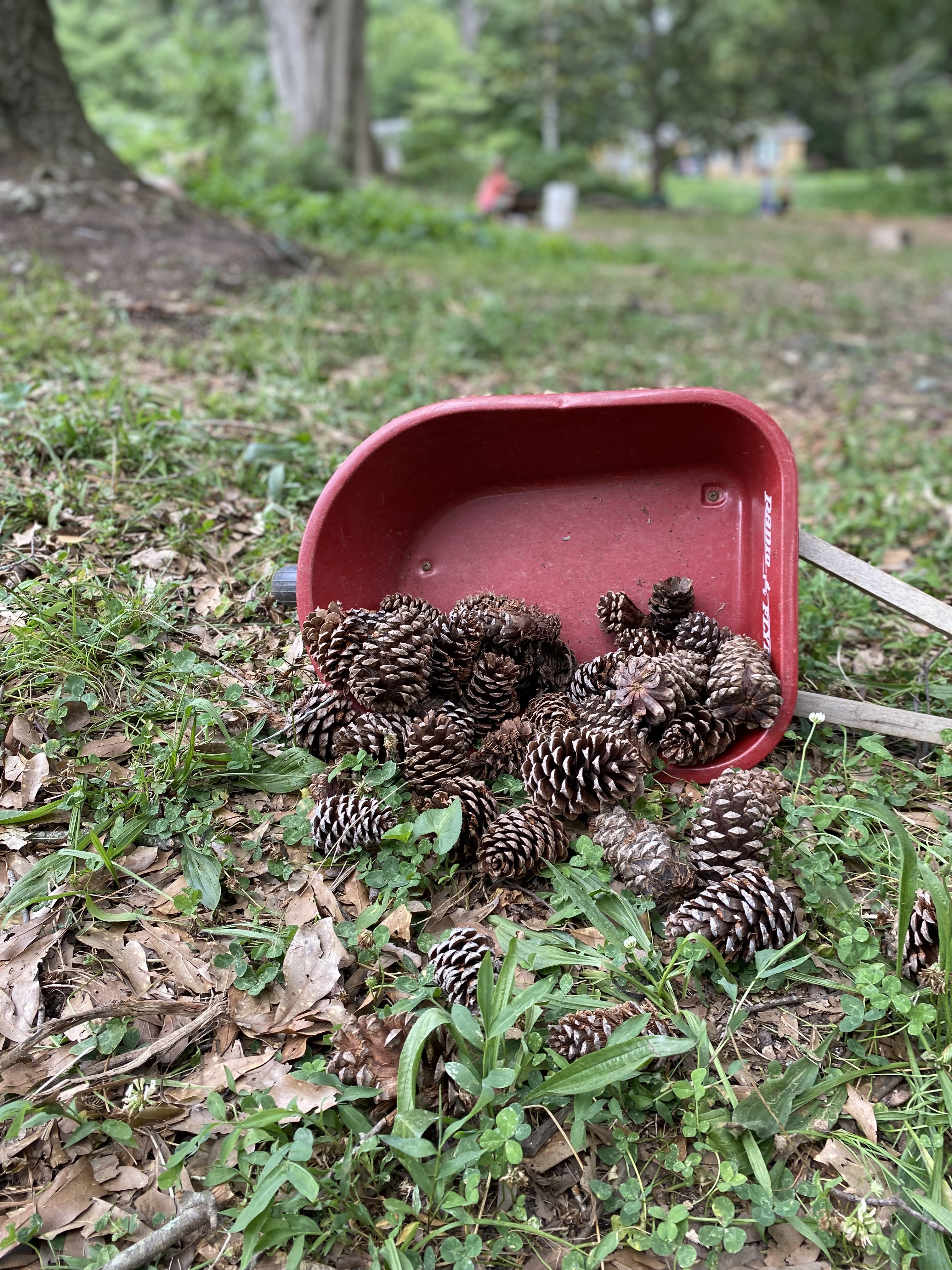 child-sized wheelbarrow overturned with pinecones spilling out