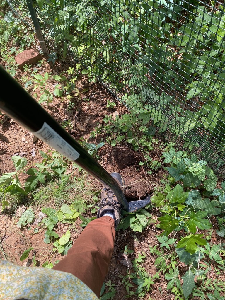 foot on shovel digging hole
