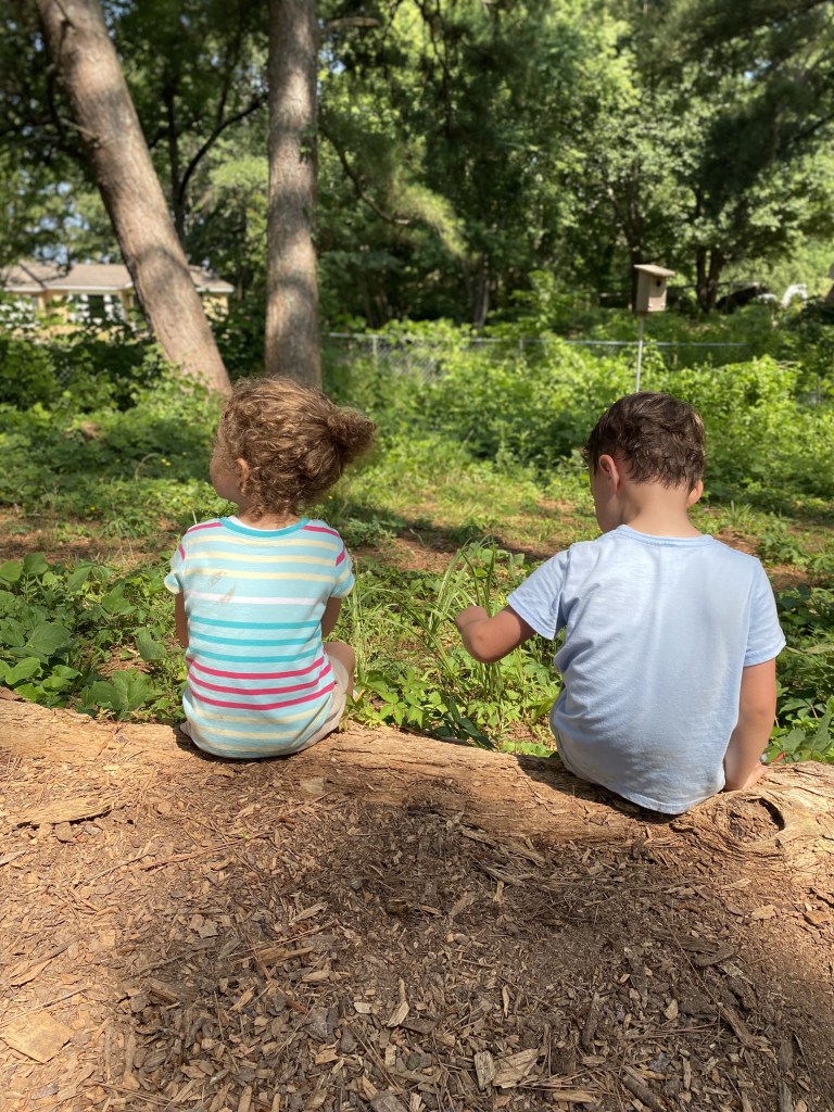 view from behind of two children seated on long